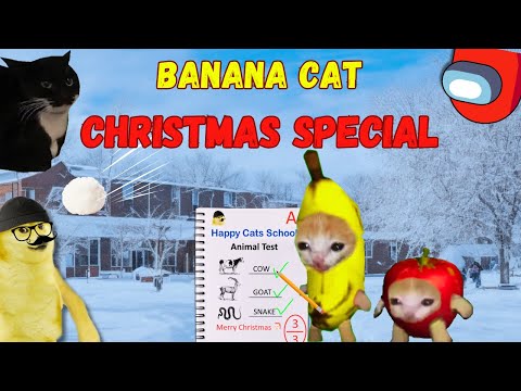 Banana Cat 😺 In School 🎒 ( Christmas Special )