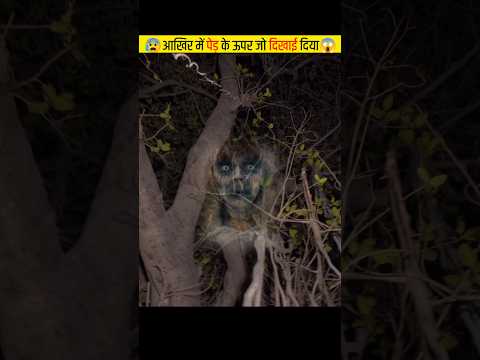 😱आखिर में पेड़ के ऊपर जो दिखाई दिया / #shorts / #ytshorts