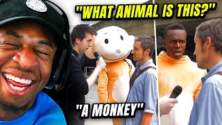FUNNIEST STREET INTERVIEW MOMENTS