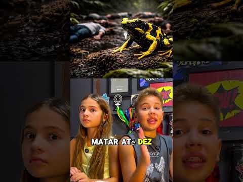 ANIMAIS QUE PARECEM INOFENSIVOS - Rian Bora Lá