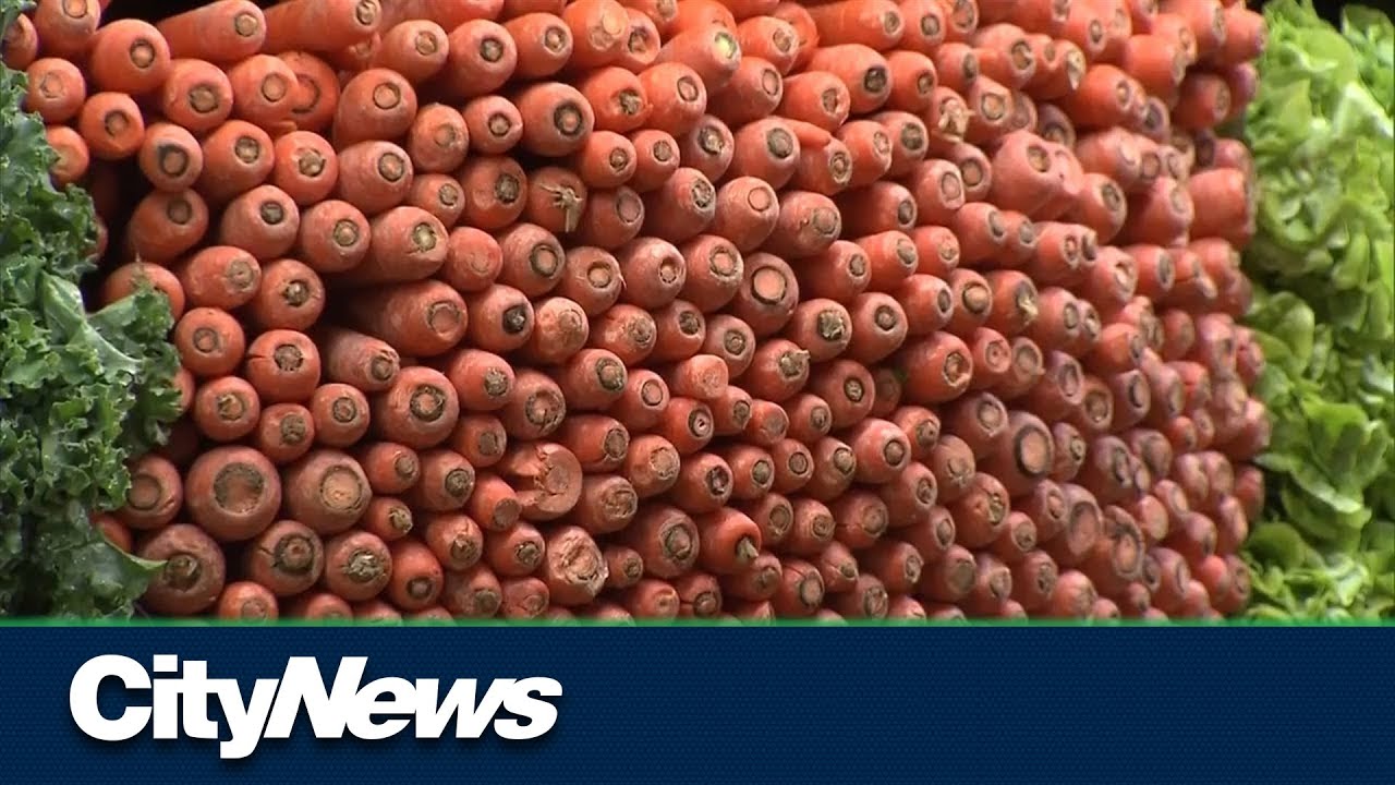 Grocery prices remain high but Canadian inflation slowing