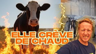 ELLE CRÈVE DE CHAUD 🥵🥵🥵