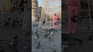 يوم جديد وحياة جديده