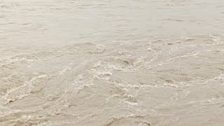 today Ganga Darshan Haridwar