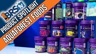 Feeding Your Reef Right!