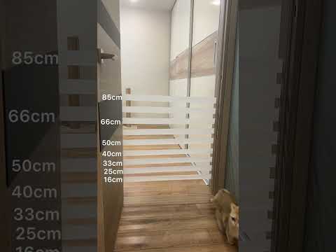 30 июля 2024 г.
