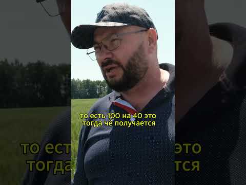Пшеница 120 ц/Га в ПФО в Мордовии #несовхоз #фермер #корова #farming