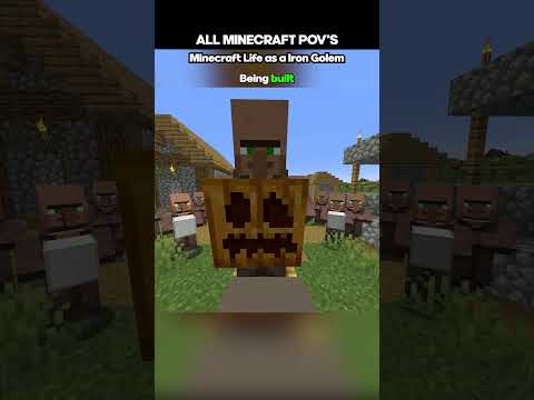 The BEST Minecraft Mob POV Moments