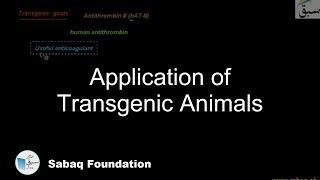 Application of Transgenic Animals
