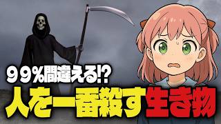 【1位は超意外】人を一番殺してる生き物ランキング｜サメじゃないの知ってた？