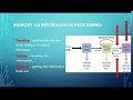 Memory Processes and Functions