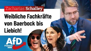 Weibliche Fachkräfte von Baerbock bis Liebich! – Zacharias Schalley (AfD)