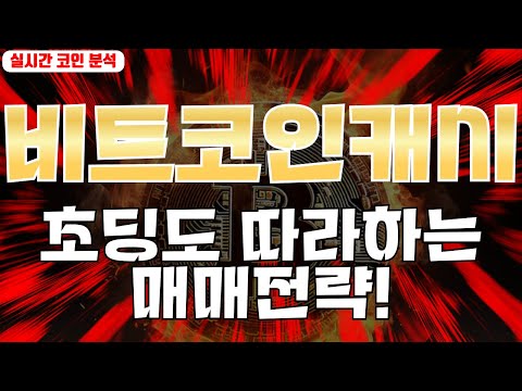 비트코인캐시 : 초등생도 따라할 수 있는 매매전략!