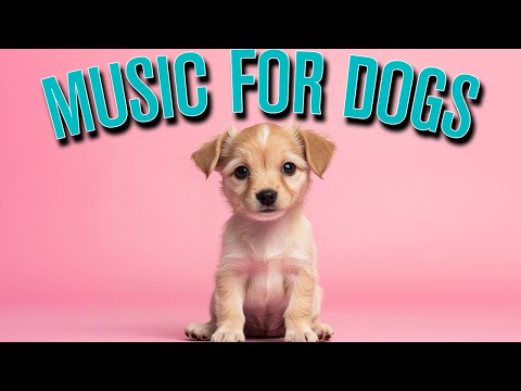 Tranquil Dog Music for Lazy Afternoons – Unwind & Recharge Together