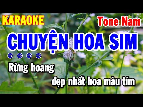 Karaoke Chuyện Hoa Sim Tone Nam Nhạc Sống Rumba Chất Lượng Cao | Thanh Hải Karaoke