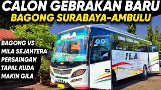 "BAGONG BIKIN GEGER LAGI ‼️ AMBULU JADI JALUR NERAKA BALAP DI TAPAL KUDA 🔥 Trip Report Naik Bus MILA