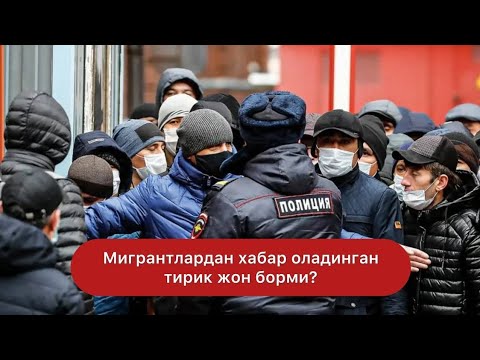 Мигрантлардан хабар оладиган тирик жон борми?