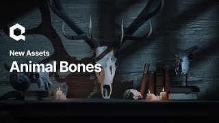Animal Bones | Quixel Megascans | Now on @Fab