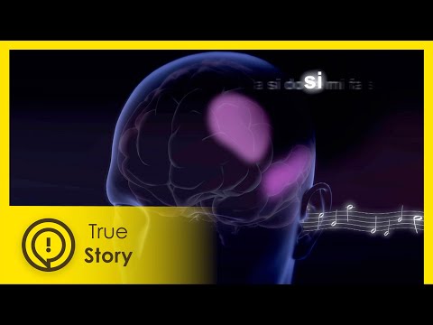 Inside the Brain of a Virtuoso | Science on the Edge 5/5 | True Story Documentary Channel