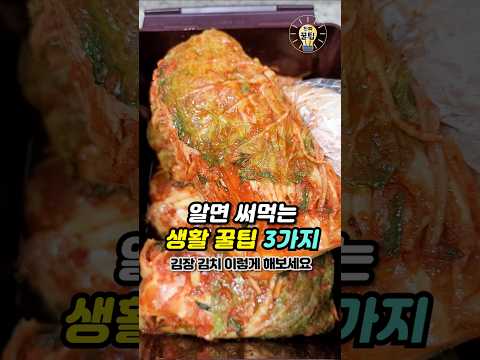 알면 평생 써먹는 생활꿀팁 3가지 #shorts #살림팁 #생활꿀팁 #꿀팁 #김장김치