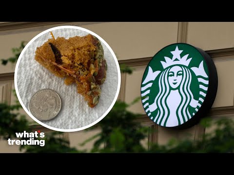 TikToker Claims She Found GRASSHOPPER in Starbucks Pumpkin Loaf