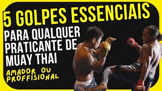 5 golpes ESSENCIAIS para qualquer praticante de MUAY THAI.