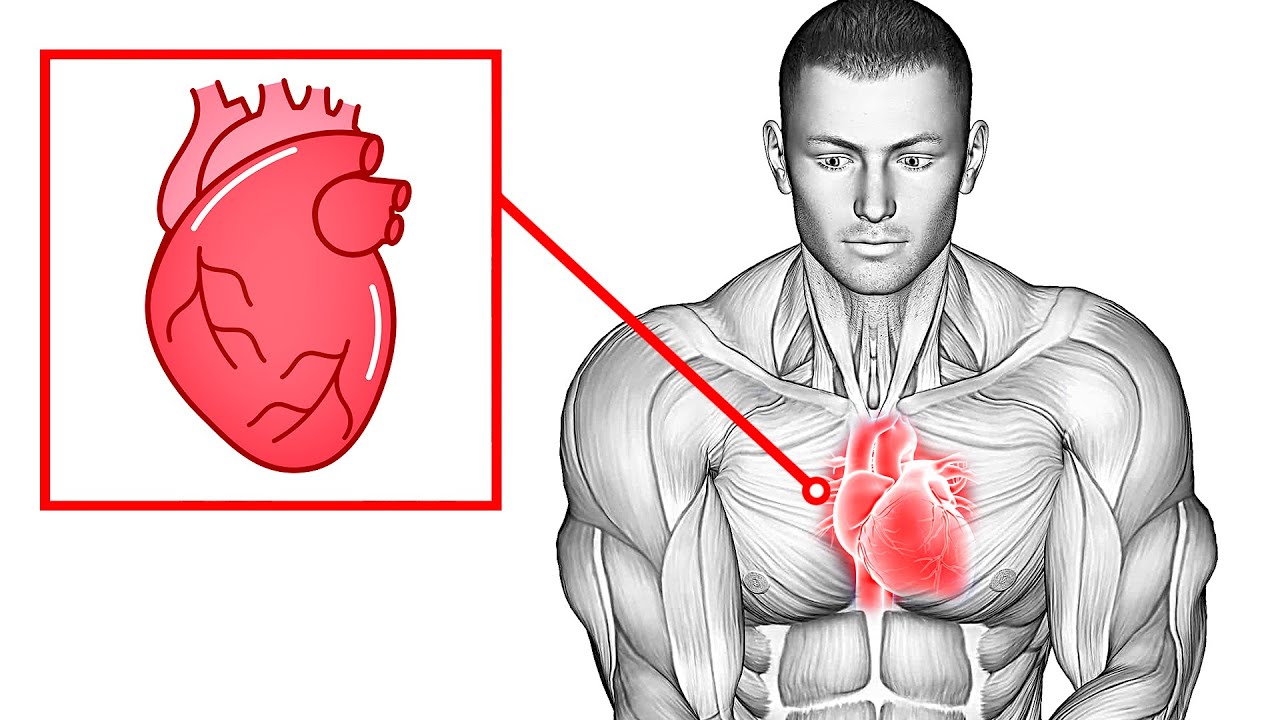 Do This 10 Min Everyday to Less Risk Of Heart Disease