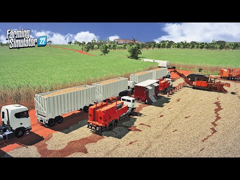 Vida de canaviero multiplayer no mapa São Carlos  | Farming simulator 22