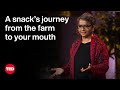 Understanding Sustainable Agriculture and Food Systems