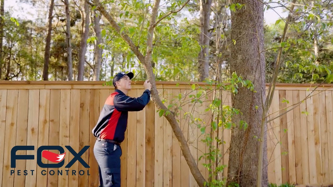 Why you should choose Fox Pest Control in Northern VA
