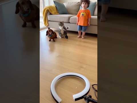 Cuando todos pensamos que la culpa es del niño jajajaja #humor