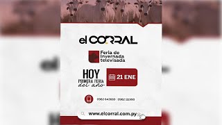EN VIVO | Feria  de Invernada televisada • El Corral