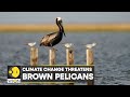 Louisiana Coastal Environmental Challenges