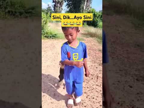 Sini, Dik...😂😂😂 #monyet #monyetlucu #shorts