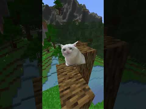 Das mit den Mücken ist wirklich böse!😨Minecraft Tordi #minecraft #sabos #tordi #paluten #trymacs
