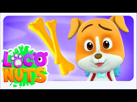 Hunt For The Golden Bone, हिंदी कार्टून, Loco Nuts Hindi Cartoon Videos For Kids