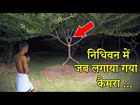 उस रात जो पुजारी के साथ निधिवन में हुआ उसे सुन आप कभी निधिवन नहीं जाओगे।