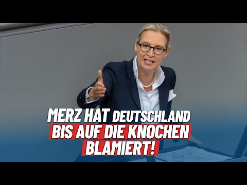 "Merz & Wadephul haben Deutschland bis auf die Knochen blamiert!" - Alice Weidel - AfD