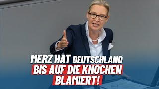 "Merz & Wadephul haben Deutschland bis auf die Knochen blamiert!" - Alice Weidel - AfD