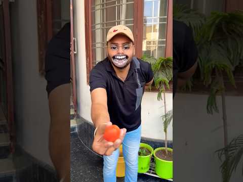 P-596 A disabled duckling helps his cat friend ๐ฅ๐ฆ #DuckRescue #CuteAnimal #AnimalRescue