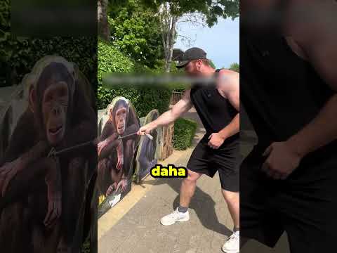 Hayvanlarla Halat Yarışı Yapan Adamın Komik Sonu!
