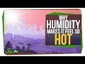 Understanding Weather and Humidity