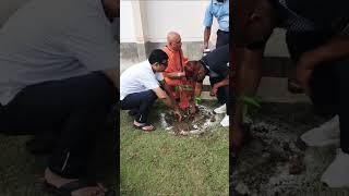 जिला पदाधिकारी महोदय और पुलिस अधीक्षक महोदय के साथ पौधारोपण #plantation
