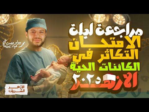 💥 ما تدخلش الامتحان قبل ما تشوف ده! | مراجعة التكاثر أحياء الأزهر 2025 | شرح + حل الأسئلة المهمة