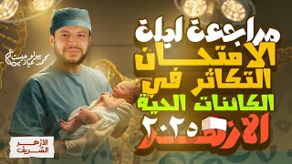 💥 ما تدخلش الامتحان قبل ما تشوف ده! | مراجعة التكاثر أحياء الأزهر 2025 | شرح + حل الأسئلة المهمة