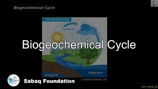 Biogeochemical Cycle