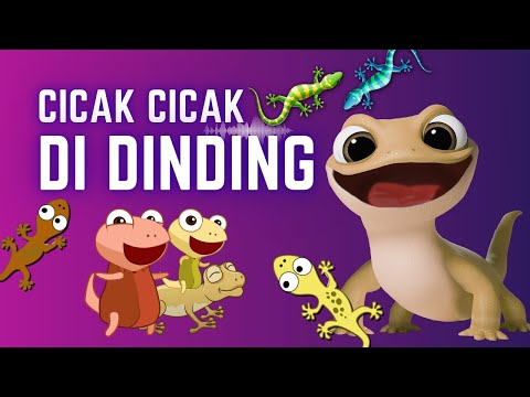 Cicak Cicak di Dinding - Lagu Anak Indonesia Populer