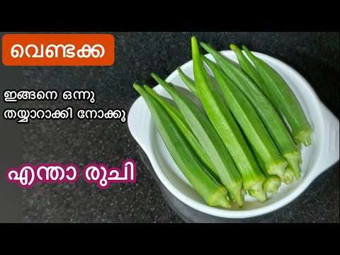 വെണ്ടക്ക കൊണ്ട് ഒരു മാന്ത്രികരുചിക്കൂട്ട്//എത്ര കഴിച്ചാലും മതിയാവില്ല//Vendakka Recipe//Easy Recipe
