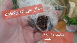 🔴 عرفتو علاش حليتو اليوتيوب درك ؟لأنو ربي  كاتبلكم تشوفو الوصفة  مكون خطير في تكاثف الحواجب والشعر🤲