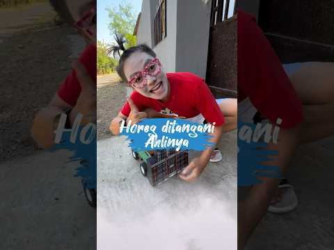 Horeg ditangani langsung Ahlinya | Story Arkaa